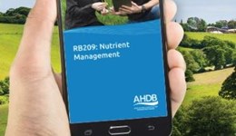 Apple version of the RB209 app under further development